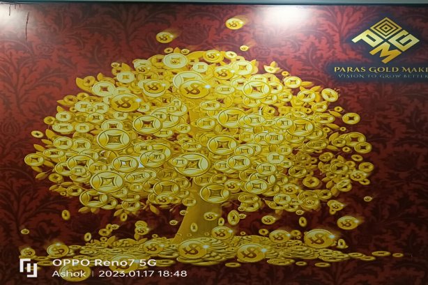 PARAS GOLD MAKER - Other Images