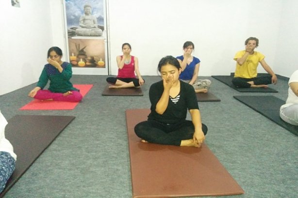 Sanjeevani Natural care - Yoga Images