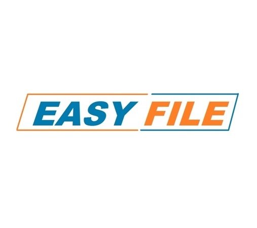 Easy File Consultancy Pvt. Ltd. - Financial / Tax Consultant logo